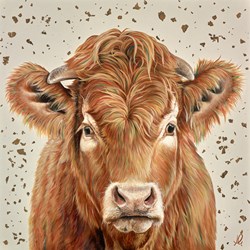 Highland Hero by Hayley Goodhead - Original Painting on Box Canvas sized 20x20 inches. Available from Whitewall Galleries
